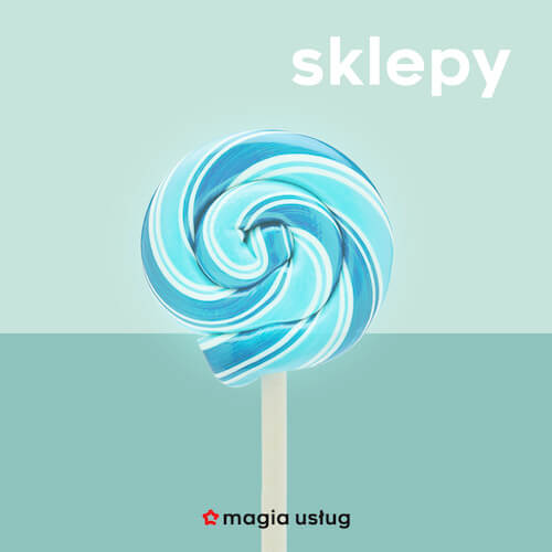 Tworzenie sklepów internetowych e-commerce